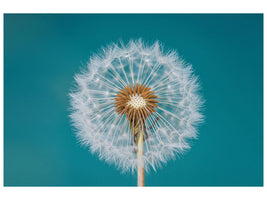 4-piece-canvas-print-dandelion-a