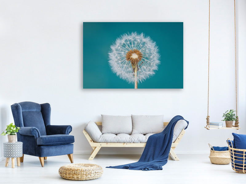 panoramic-3-piece-canvas-print-dandelion-a