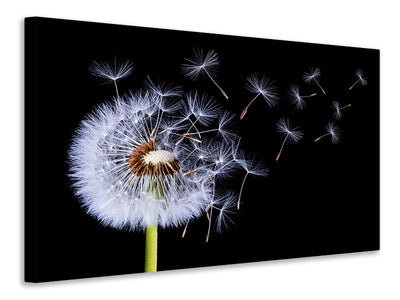 panoramic-3-piece-canvas-print-dandelion-blowing