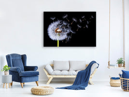 5-piece-canvas-print-dandelion-blowing
