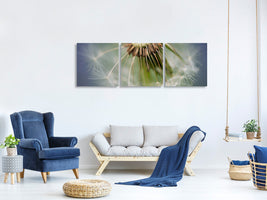canvas-print-dandelion-close-up