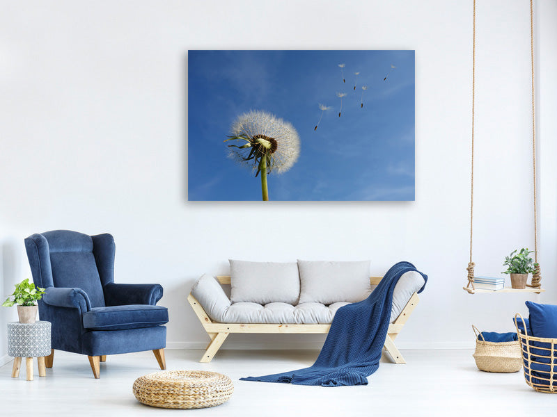 4-piece-canvas-print-dandelion-i-wish-for-something