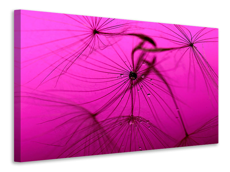 3-piece-canvas-print-dandelion-in-pink