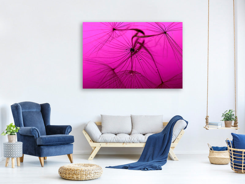 4-piece-canvas-print-dandelion-in-pink