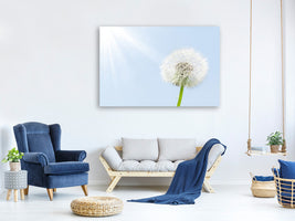 5-piece-canvas-print-dandelion-in-sunbeam