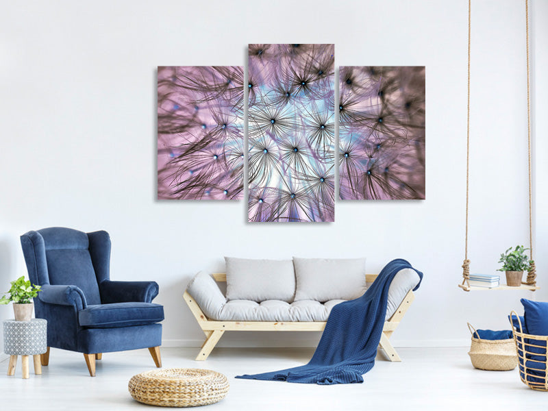 panoramic-3-piece-canvas-print-dandelion-in-the-light-play
