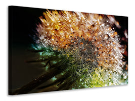 3-piece-canvas-print-dandelion-in-the-morning-dew