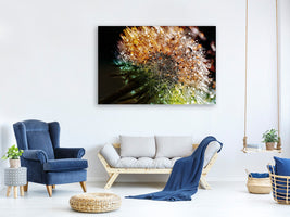 3-piece-canvas-print-dandelion-in-the-morning-dew
