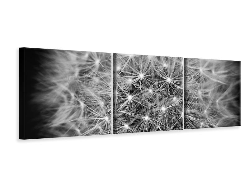 canvas-print-dandelion-in-xxl