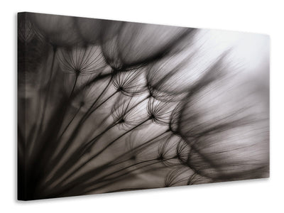 panoramic-3-piece-canvas-print-dandelion-p