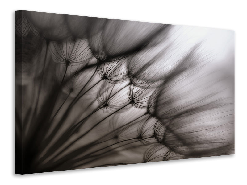 modern-4-piece-canvas-print-dandelion-p
