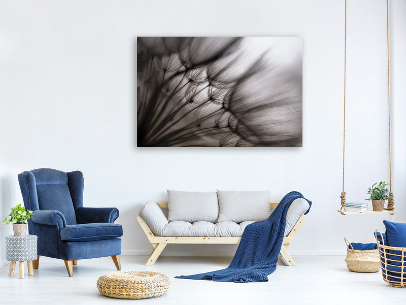 4-piece-canvas-print-dandelion-p