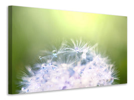 4-piece-canvas-print-dandelion-xl-in-morning-dew