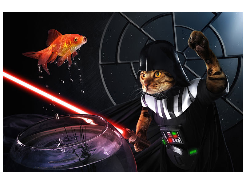 3-piece-canvas-print-darth-sushi