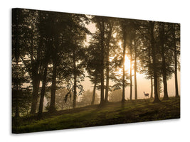 4-piece-canvas-print-deer-in-the-morning-mist