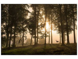 4-piece-canvas-print-deer-in-the-morning-mist