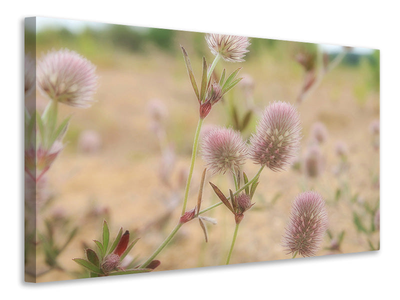 4-piece-canvas-print-delicate-flowers