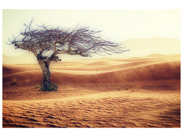 3-piece-canvas-print-desert-storm