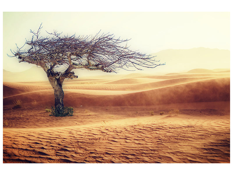 3-piece-canvas-print-desert-storm