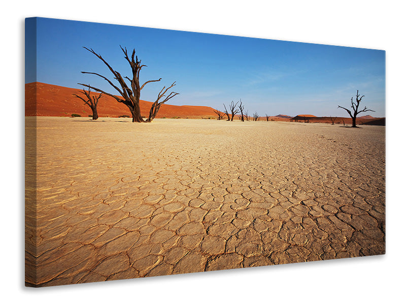 5-piece-canvas-print-desert