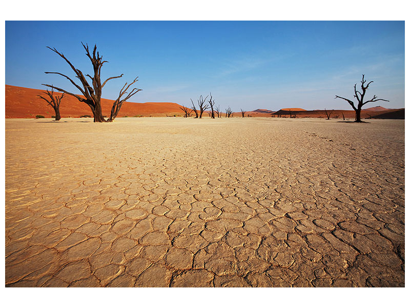 4-piece-canvas-print-desert