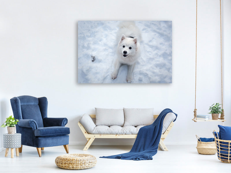 3-piece-canvas-print-dogs-joy-in-the-snow