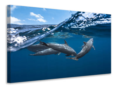 modern-4-piece-canvas-print-dolphins