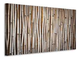 panoramic-3-piece-canvas-print-dried-bamboos