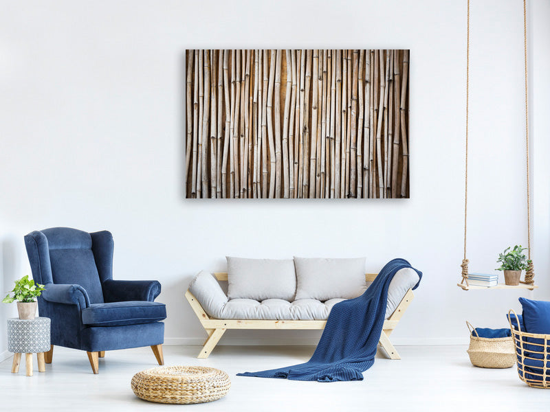 panoramic-3-piece-canvas-print-dried-bamboos