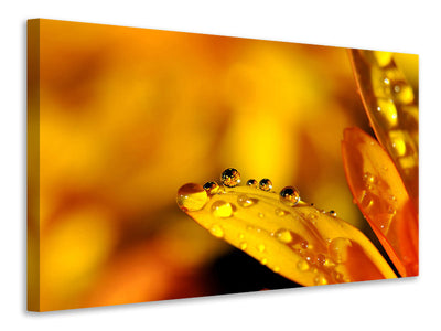 modern-3-piece-canvas-print-drops-close-up
