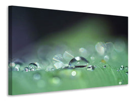 3-piece-canvas-print-drops-of-water-in-xxl