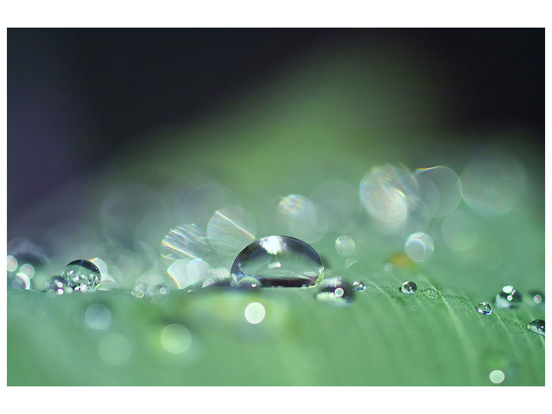 3-piece-canvas-print-drops-of-water-in-xxl