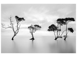 panoramic-canvas-print-drowning-not-waving