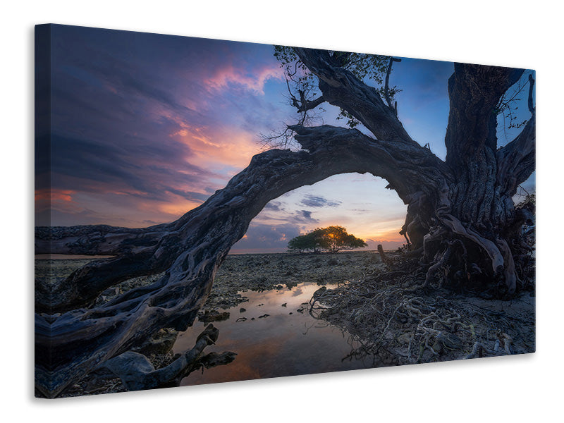 4-piece-canvas-print-dry