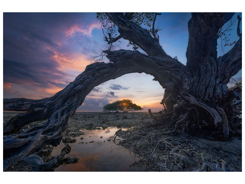 panoramic-3-piece-canvas-print-dry