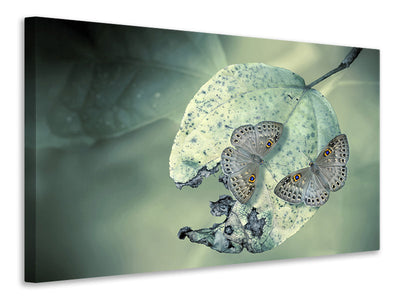 4-piece-canvas-print-duet