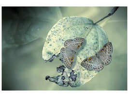 modern-4-piece-canvas-print-duet