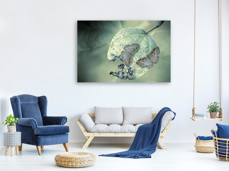 4-piece-canvas-print-duet