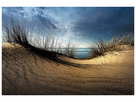 5-piece-canvas-print-dunes