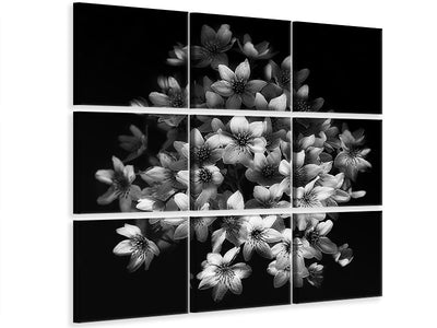 canvas-print-early-sensation