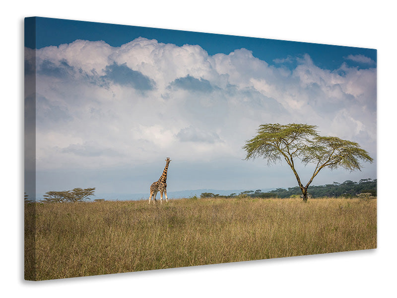 panoramic-3-piece-canvas-print-east-africa