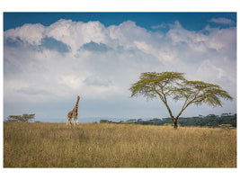 modern-3-piece-canvas-print-east-africa