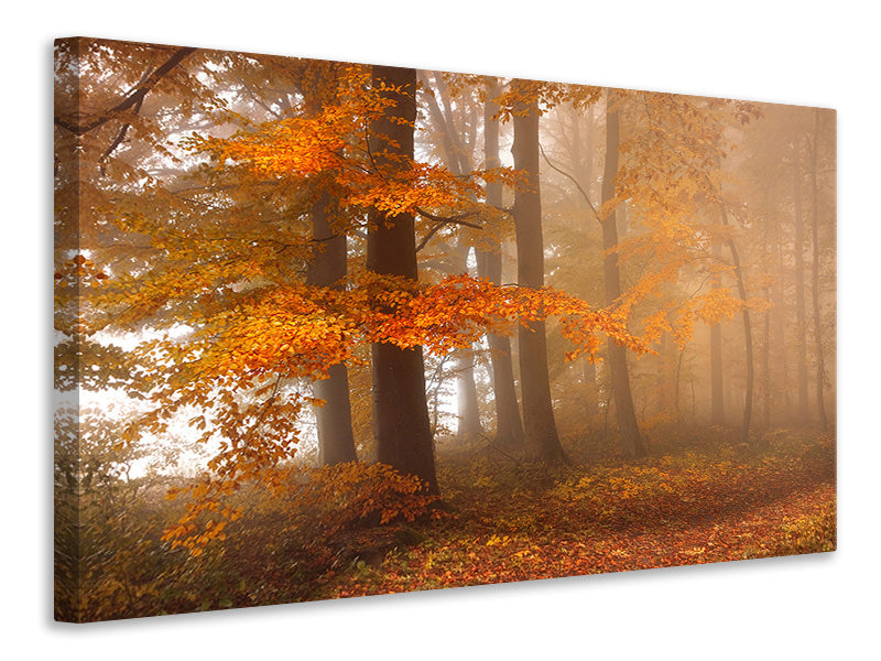 3-piece-canvas-print-edge-of-the-woods
