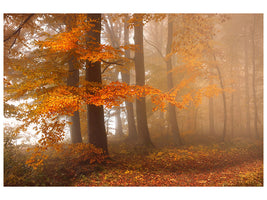modern-3-piece-canvas-print-edge-of-the-woods