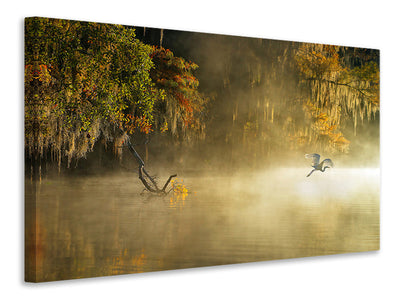 panoramic-3-piece-canvas-print-egret