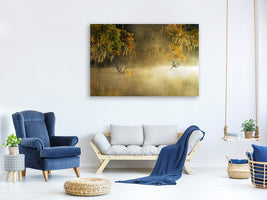panoramic-canvas-print-egret
