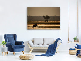 3-piece-canvas-print-elephant-alone-in-the-steppe