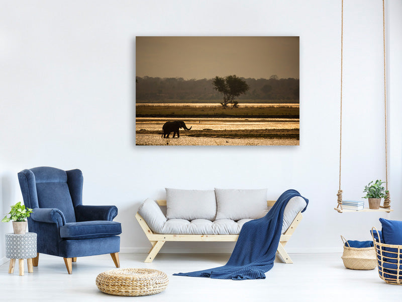 3-piece-canvas-print-elephant-alone-in-the-steppe