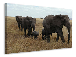 3-piece-canvas-print-elephant-family