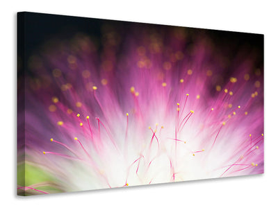 5-piece-canvas-print-elfin